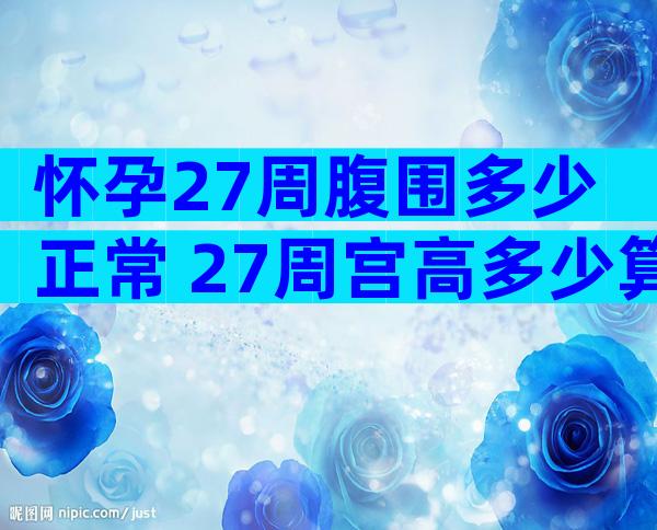 怀孕27周腹围多少正常 27周宫高多少算正常